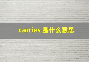 carries 是什么意思